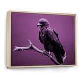 Purple Eagle S Grace At Branch Domain - Eagle Wall Decor