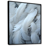 Light As A Feather - Feathers Canvas Wall Art