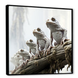 Minimalism Frog Family Harmony - Frog Wall Decor
