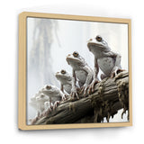 Minimalism Frog Family Harmony - Frog Wall Decor