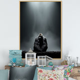 Gorilla Solitude Photography - Gorilla Wall Art Prints
