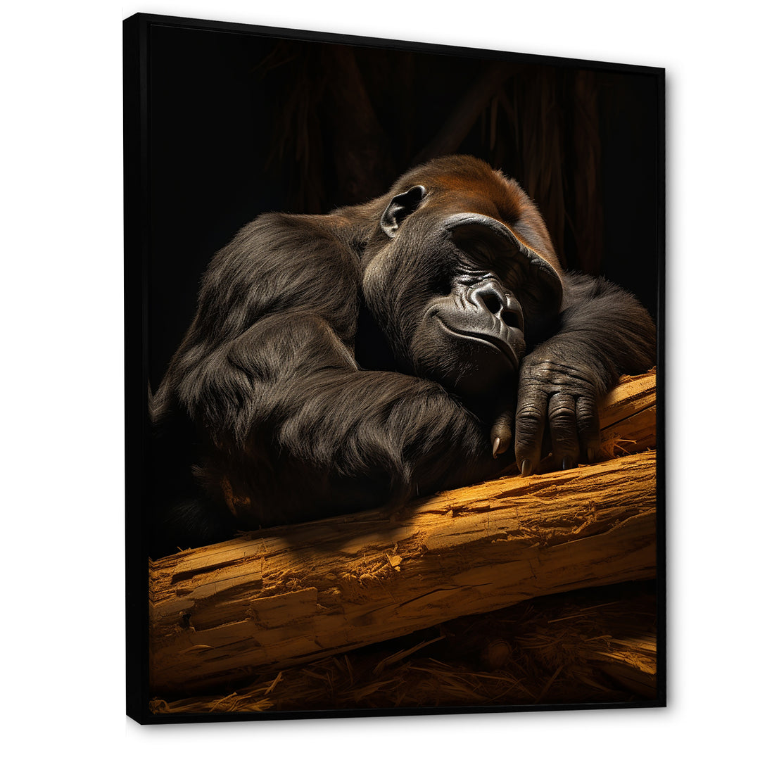 Gorillas Siesta - Gorilla Living Room Wall Art