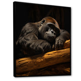 Gorillas Siesta - Gorilla Living Room Wall Art