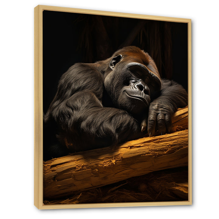 Gorillas Siesta - Gorilla Living Room Wall Art