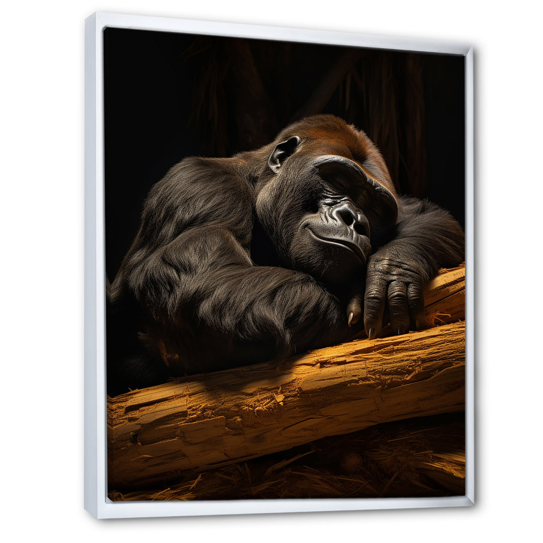 Gorillas Siesta - Gorilla Living Room Wall Art