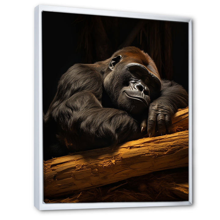Gorillas Siesta - Gorilla Living Room Wall Art