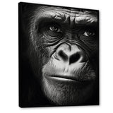 The Gorilla Matriarch - Gorilla Wall Decor