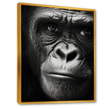 The Gorilla Matriarch - Gorilla Wall Decor