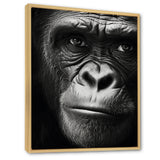 The Gorilla Matriarch - Gorilla Wall Decor