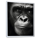The Gorilla Matriarch - Gorilla Wall Decor