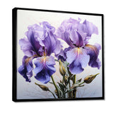 Purple Irises Realistic Splendor - Floral Canvas Wall Art