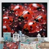 Dreamy Ladybug Reflections - Ladybug Wall Art Prints