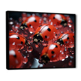 Dreamy Ladybug Reflections - Ladybug Wall Art Prints