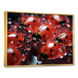 Dreamy Ladybug Reflections - Ladybug Wall Art Prints