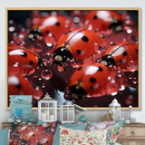 Dreamy Ladybug Reflections - Ladybug Wall Art Prints