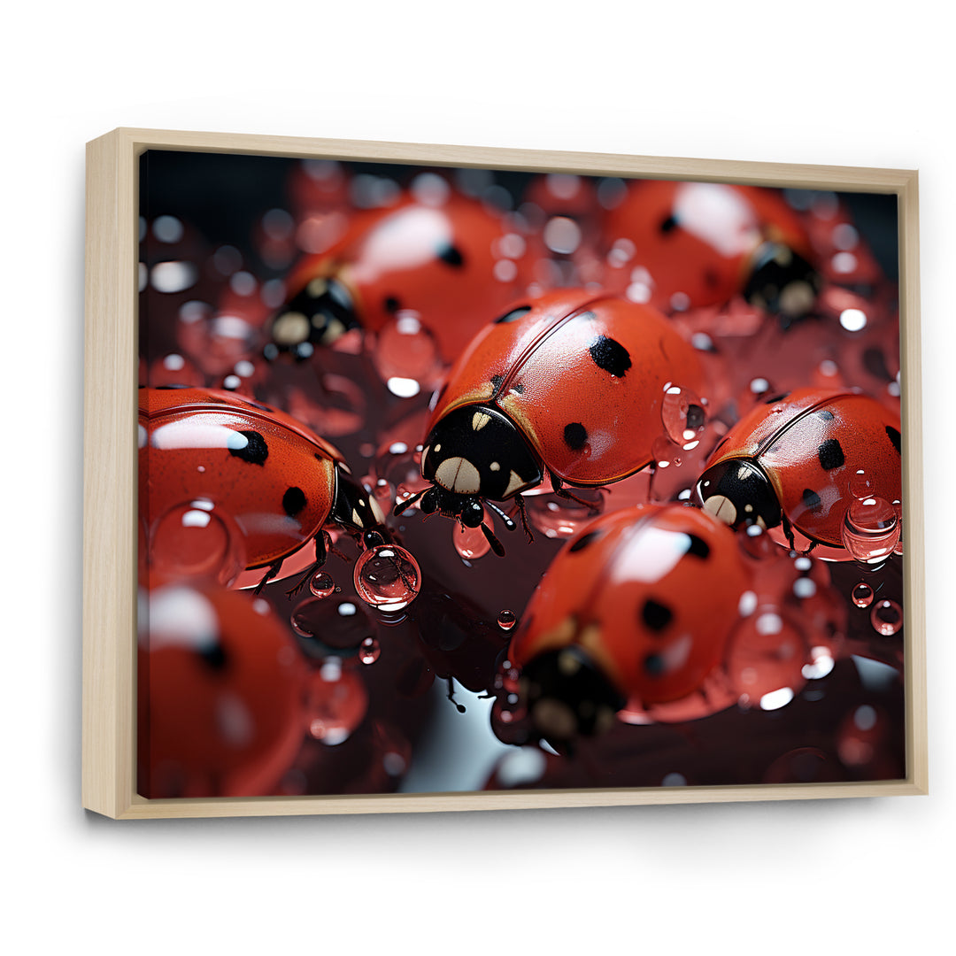 Dreamy Ladybug Reflections - Ladybug Wall Art Prints