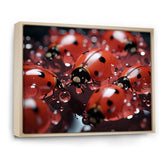 Dreamy Ladybug Reflections - Ladybug Wall Art Prints