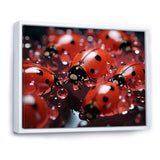 Dreamy Ladybug Reflections - Ladybug Wall Art Prints