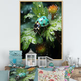 Emerald Ladybug Garden Domain - Green Ladybug Wall Art