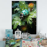 Emerald Ladybug Garden Domain - Green Ladybug Wall Art