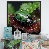 Enchanted Ladybug Forest - Ladybug Framed Canvas Art