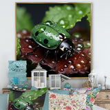Enchanted Ladybug Forest - Ladybug Framed Canvas Art