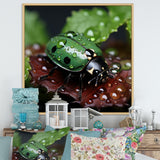 Enchanted Ladybug Forest - Ladybug Framed Canvas Art