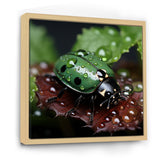 Enchanted Ladybug Forest - Ladybug Framed Canvas Art