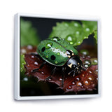 Enchanted Ladybug Forest - Ladybug Framed Canvas Art