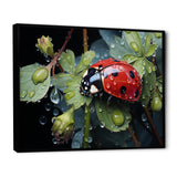 Rainy Ladybugs Lullaby - Ladybug Home Decor Art