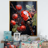Ethereal Lady Bug Encounter - Ladybug Bedroom Wall Art