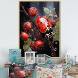 Ethereal Lady Bug Encounter - Ladybug Bedroom Wall Art