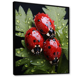 Tiny Ladybug Garden Guardians - Ladybug Canvas Wall Art