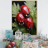 Tiny Ladybug Garden Guardians - Ladybug Canvas Wall Art