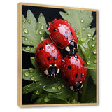Tiny Ladybug Garden Guardians - Ladybug Canvas Wall Art