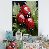 Tiny Ladybug Garden Guardians - Ladybug Canvas Wall Art