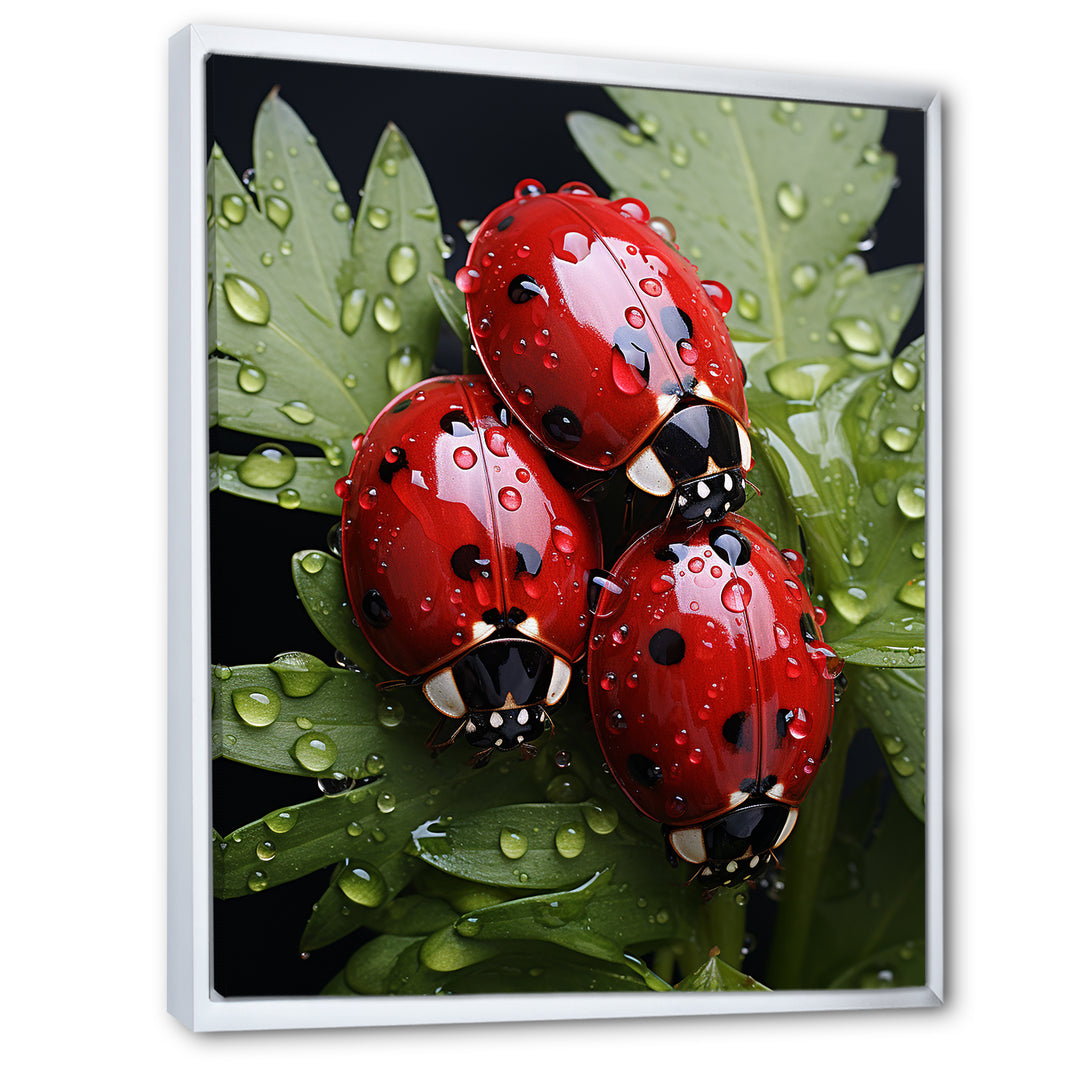 Tiny Ladybug Garden Guardians - Ladybug Canvas Wall Art