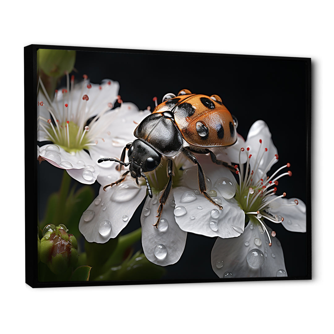 Nature S Mystery Blooming Ladybug - Ladybug Wall Art Prints