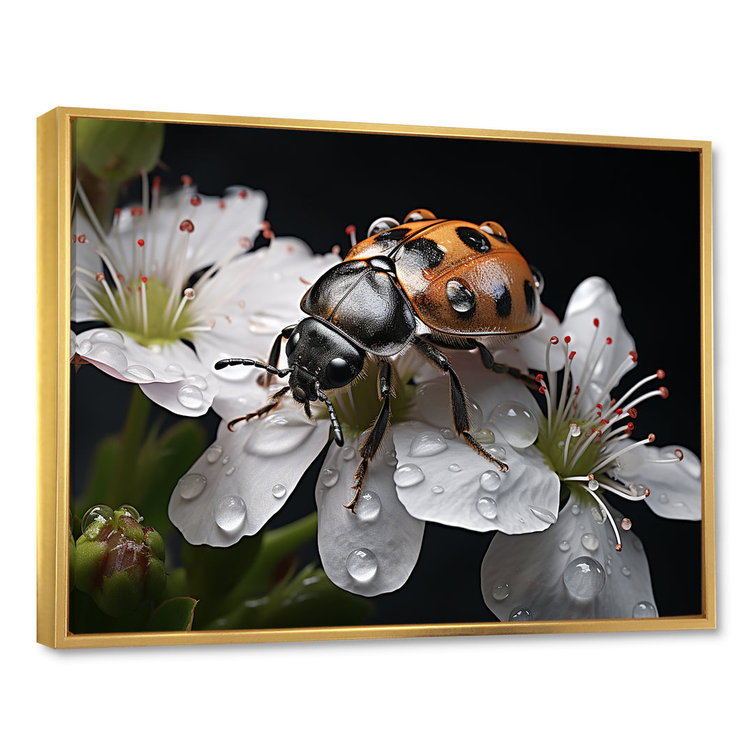 Nature S Mystery Blooming Ladybug - Ladybug Wall Art Prints