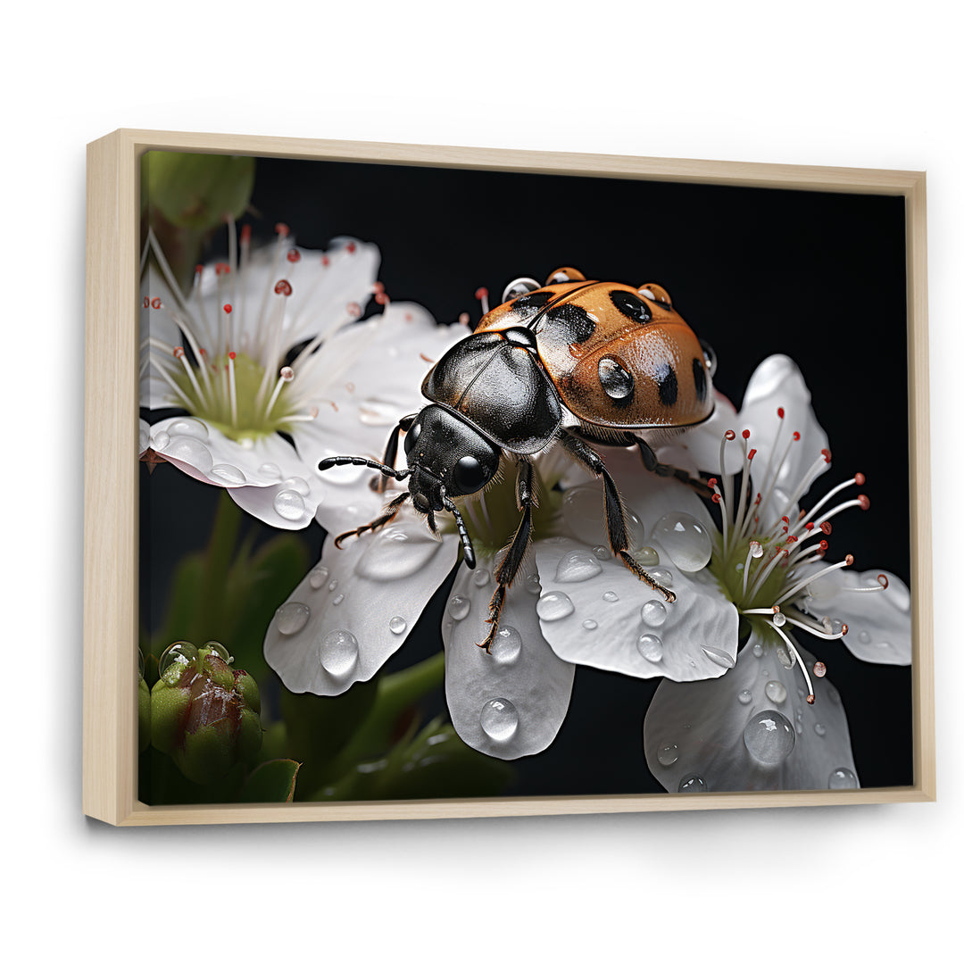 Nature S Mystery Blooming Ladybug - Ladybug Wall Art Prints
