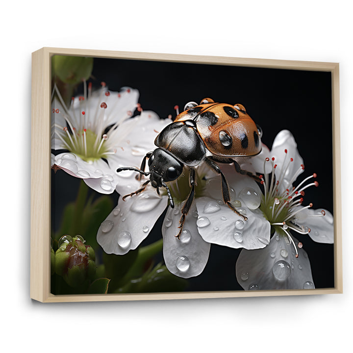 Nature S Mystery Blooming Ladybug - Ladybug Wall Art Prints