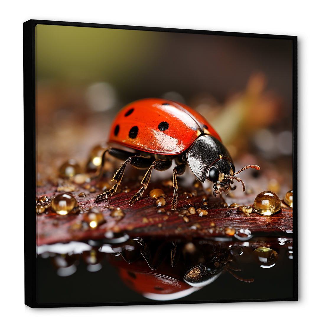 Lively Ladybug Reflections - Ladybug Framed Canvas Art