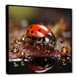 Lively Ladybug Reflections - Ladybug Framed Canvas Art