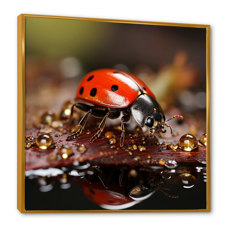 Lively Ladybug Reflections - Ladybug Framed Canvas Art