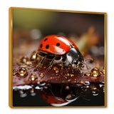 Lively Ladybug Reflections - Ladybug Framed Canvas Art