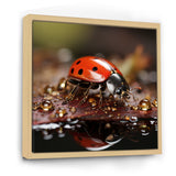 Lively Ladybug Reflections - Ladybug Framed Canvas Art