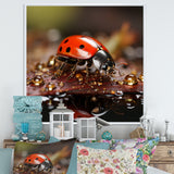 Lively Ladybug Reflections - Ladybug Framed Canvas Art