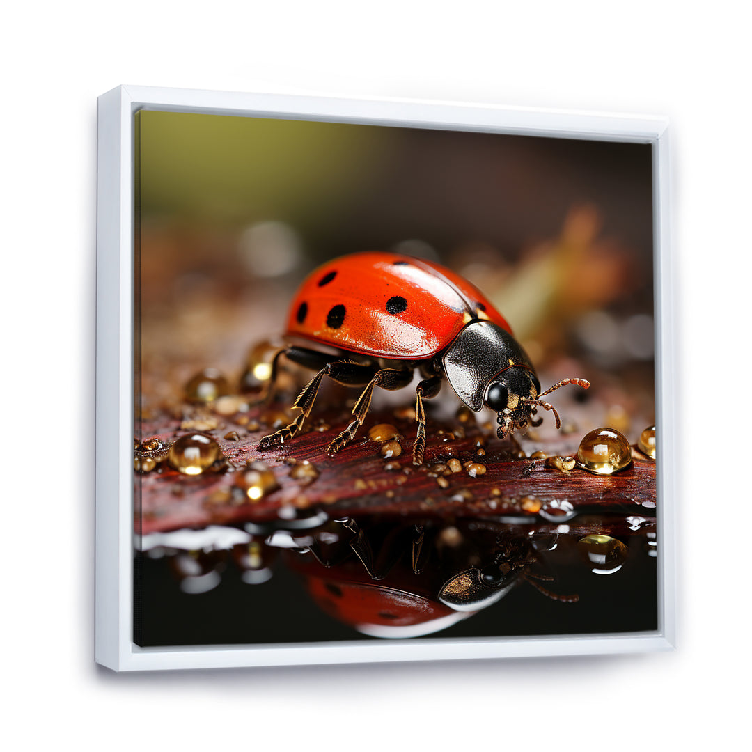Lively Ladybug Reflections - Ladybug Framed Canvas Art