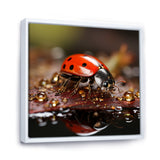 Lively Ladybug Reflections - Ladybug Framed Canvas Art