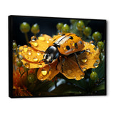 Sunshine Ladybug Travel Splendor - Ladybug Home Decor Art